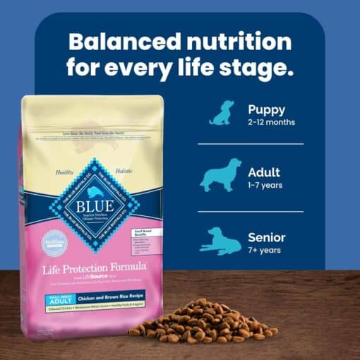 Blue Buffalo Small Breed Dog Food, Life Protection Formula, Natural Chicken & Brown Rice Flavor, Adult Dry Dog Food, 15 lb Bag