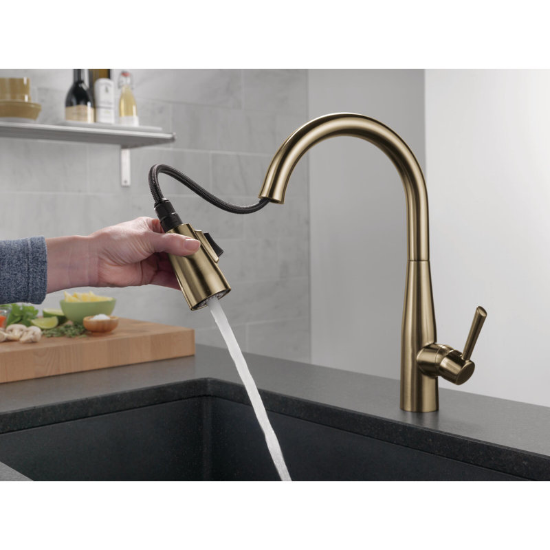 9113-CZ-DST Essa Pull Down Single Handle Kitchen Faucet with MagnaTite and Diamond Seal Technology Essa Pull Down Single Handle Kitchen Faucet with MagnaTite® and Diamond Seal Technology