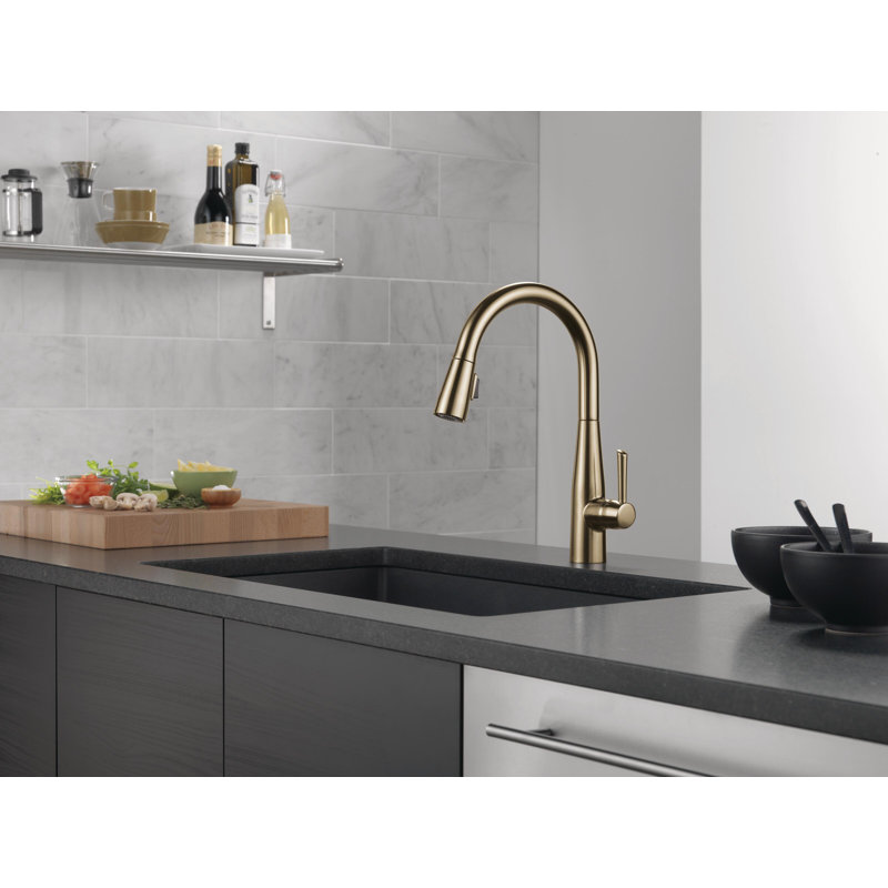 9113-CZ-DST Essa Pull Down Single Handle Kitchen Faucet with MagnaTite and Diamond Seal Technology Essa Pull Down Single Handle Kitchen Faucet with MagnaTite® and Diamond Seal Technology
