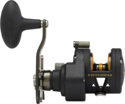 PENN Fathom II Star Drag Conventional Fishing Reel, Black Gold